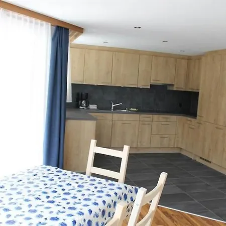 Saas-grund Sleeps 6 Wifi 公寓 *